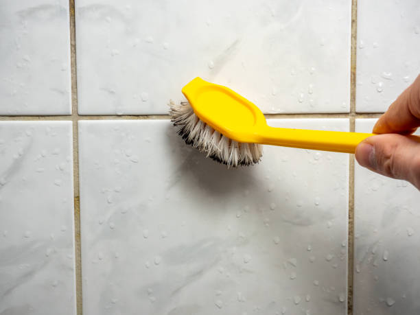 Best Mold Remediation  in Mahanoy City, PA