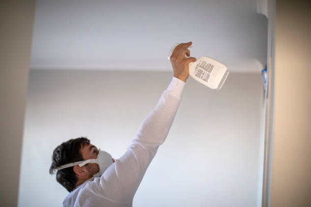 Best Mold Remediation  in Mahanoy City, PA
