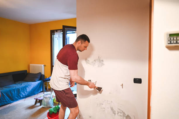 Best Emergency Mold Removal  in Mahanoy City, PA